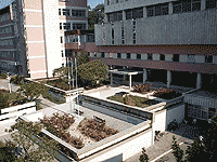sesti-3
