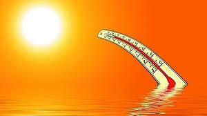 sunce